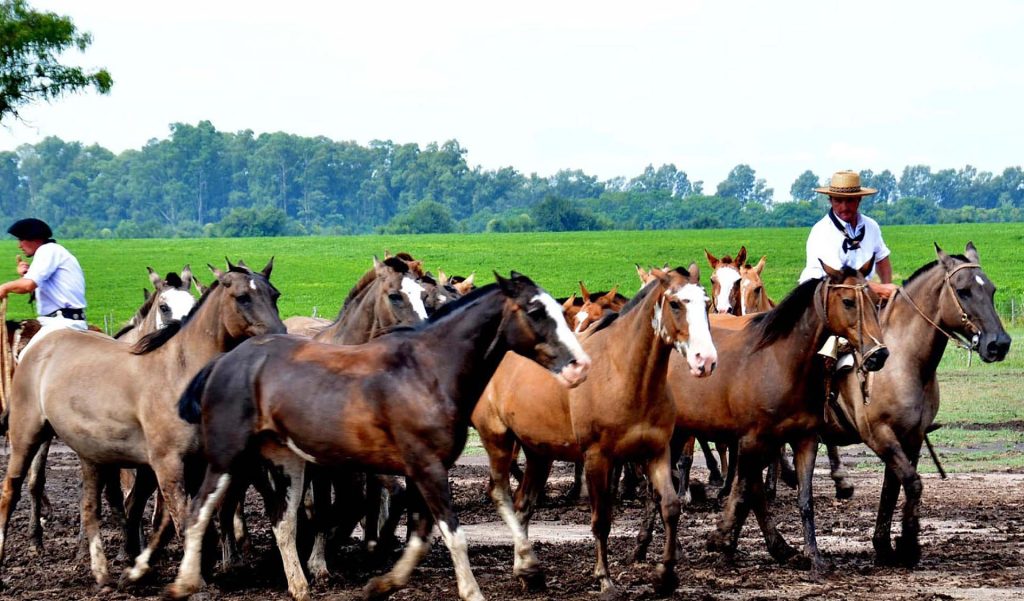 Estancia Santa Susana: Gaucho (Puszta) Show
