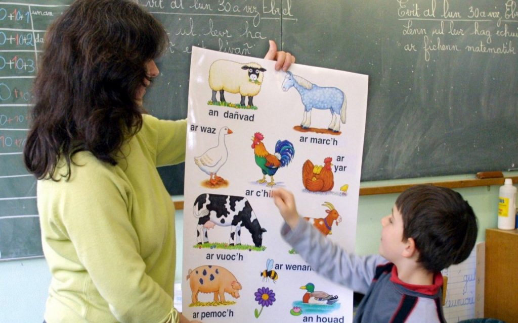 Utódaid Nem Lesznek Magyarok?