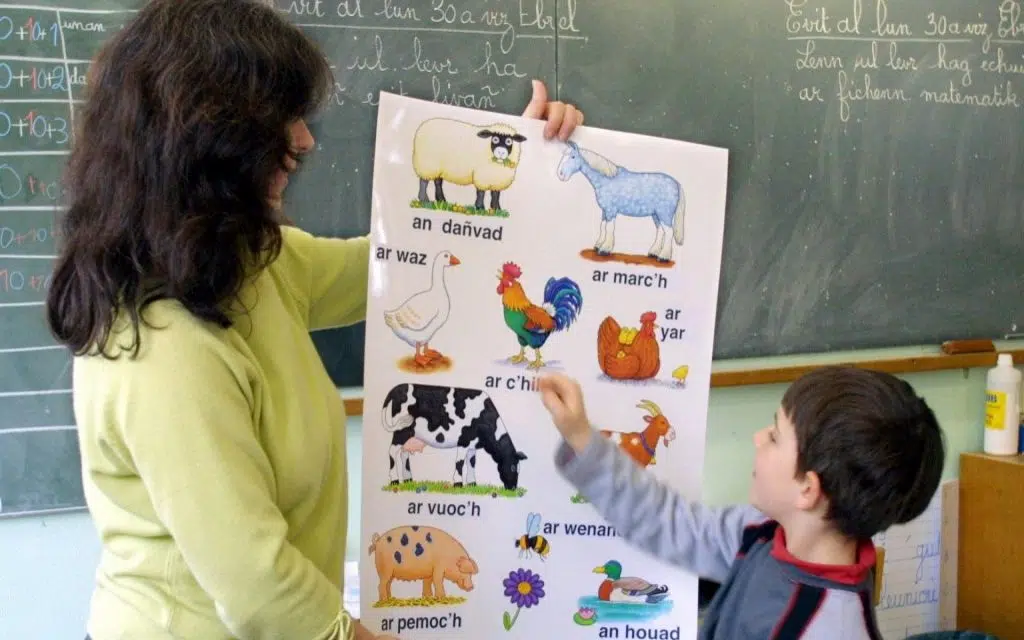 Utódaid Nem Lesznek Magyarok?